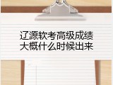 辽源软考高级成绩大概什么时候出来