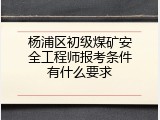 杨浦区初级煤矿安全工程师报考条件有什么要求