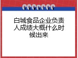 白城食品企业负责人成绩大概什么时候出来