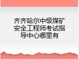 齐齐哈尔中级煤矿安全工程师考试指导中心哪里有