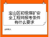宝山区初级煤矿安全工程师报考条件有什么要求