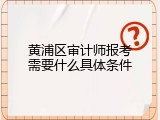 黄浦区审计师报考需要什么具体条件