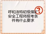 呼和浩特初级煤矿安全工程师报考条件有什么要求