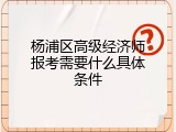 杨浦区高级经济师报考需要什么具体条件