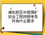 浦东新区中级煤矿安全工程师报考条件有什么要求
