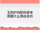 玉树护师职称报考需要什么具体条件