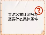 普陀区审计师报考需要什么具体条件