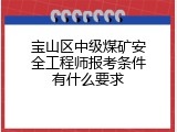 宝山区中级煤矿安全工程师报考条件有什么要求