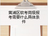 黄浦区软考高级报考需要什么具体条件