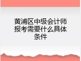 黄浦区中级会计师报考需要什么具体条件