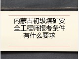 内蒙古初级煤矿安全工程师报考条件有什么要求