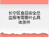 长宁区食品安全总监报考需要什么具体条件