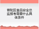 普陀区食品安全总监报考需要什么具体条件