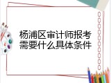 杨浦区审计师报考需要什么具体条件