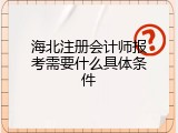 海北注册会计师报考需要什么具体条件