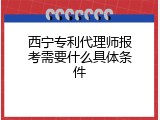 西宁专利代理师报考需要什么具体条件