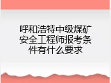 呼和浩特中级煤矿安全工程师报考条件有什么要求