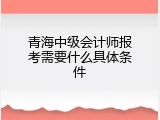 青海中级会计师报考需要什么具体条件