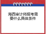 海西审计师报考需要什么具体条件