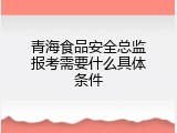 青海食品安全总监报考需要什么具体条件
