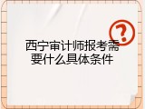 西宁审计师报考需要什么具体条件