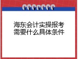 海东会计实操报考需要什么具体条件