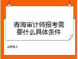 青海审计师报考需要什么具体条件