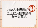 内蒙古中级煤矿安全工程师报考条件有什么要求