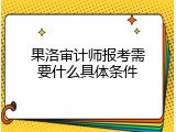 果洛审计师报考需要什么具体条件