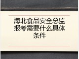 海北食品安全总监报考需要什么具体条件