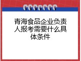青海食品企业负责人报考需要什么具体条件