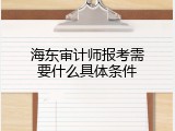 海东审计师报考需要什么具体条件