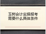 玉树会计实操报考需要什么具体条件
