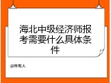 海北中级经济师报考需要什么具体条件