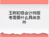 玉树初级会计师报考需要什么具体条件