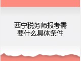 西宁税务师报考需要什么具体条件