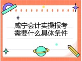 咸宁会计实操报考需要什么具体条件