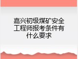 嘉兴初级煤矿安全工程师报考条件有什么要求
