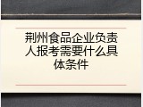 荆州食品企业负责人报考需要什么具体条件