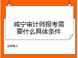 咸宁审计师报考需要什么具体条件