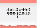 株洲初级会计师报考需要什么具体条件