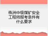 株洲中级煤矿安全工程师报考条件有什么要求