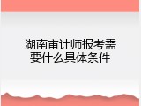 湖南审计师报考需要什么具体条件