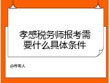 孝感税务师报考需要什么具体条件