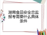 湖南食品安全总监报考需要什么具体条件