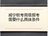 咸宁软考高级报考需要什么具体条件