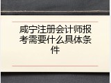 咸宁注册会计师报考需要什么具体条件