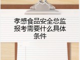 孝感食品安全总监报考需要什么具体条件