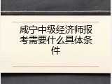 咸宁中级经济师报考需要什么具体条件