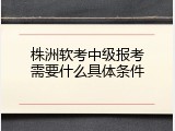 株洲软考中级报考需要什么具体条件